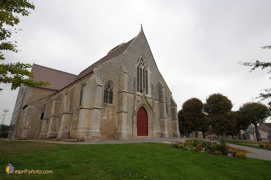 Nom de l'image : D30080498_1_(c)Norbert-JUNG — Description :